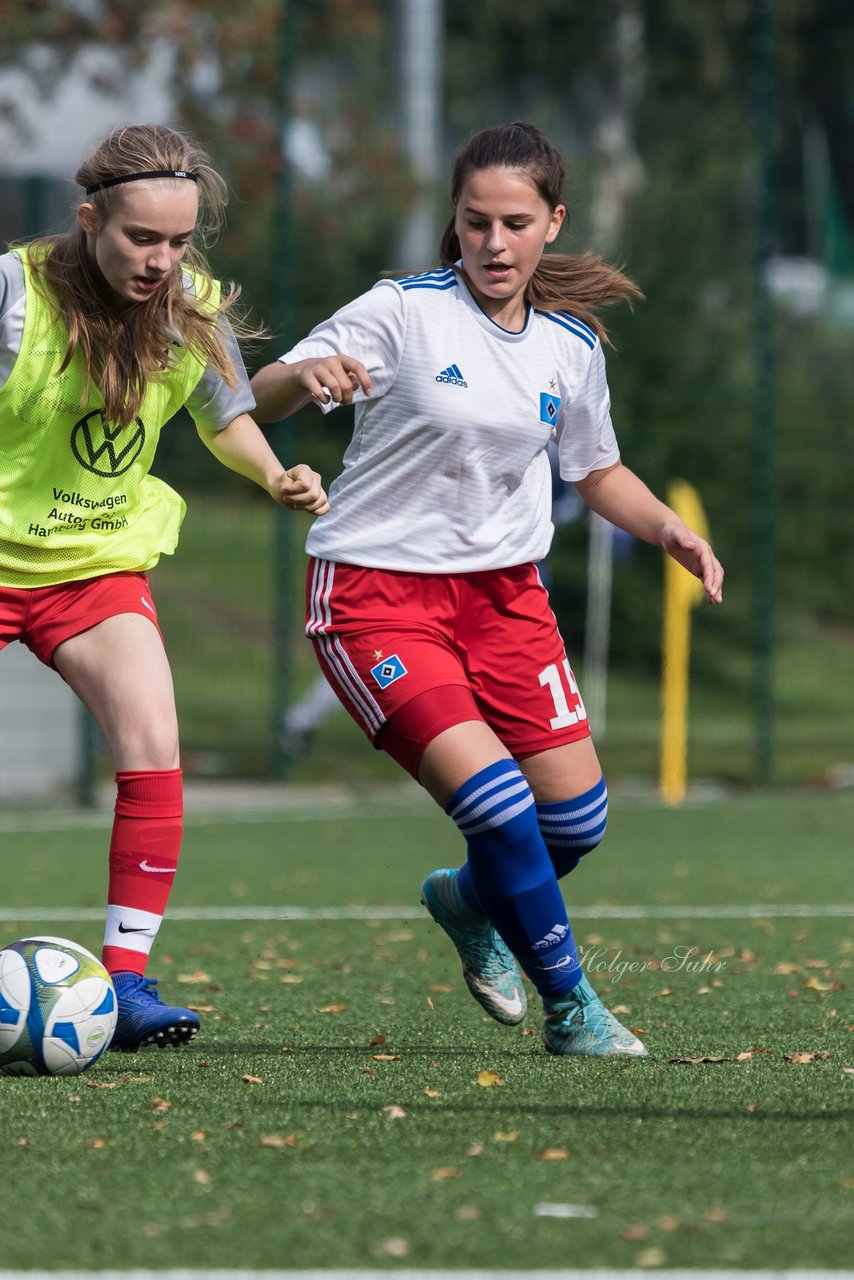 Bild 230 - C-Juniorinnen HSV - Walddoerfer : Ergebnis: 9:1